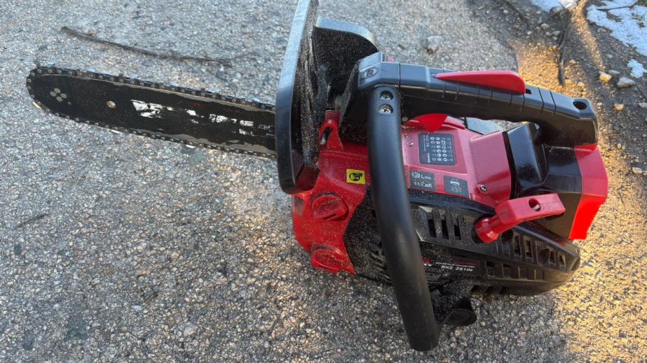 Спиляний під Запоріжжям клен екологи оцінили в тисячу гривень