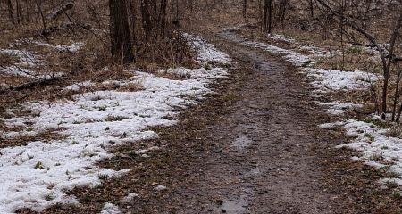Сміттєзвалище прибрали між двома селами під Запоріжжям