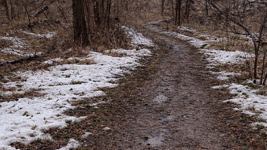 Мусорную свалку убрали между двумя селами под Запорожьем