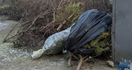 Новорічні ялинки просто неба: у Запоріжжі знайшли два стихійні смітники