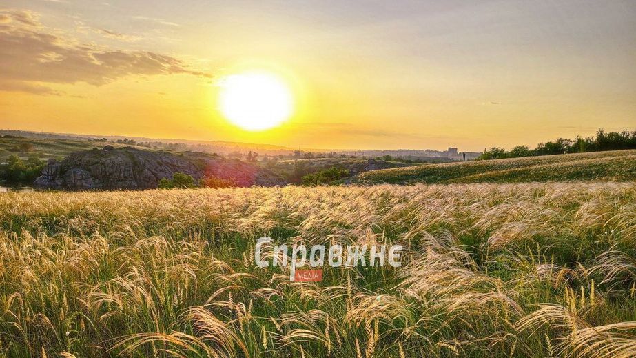 У Запоріжжі на Хортиці може побільшати ковили