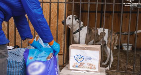 Запоріжці зібрали допомогу для собачого притулку після удару РФ