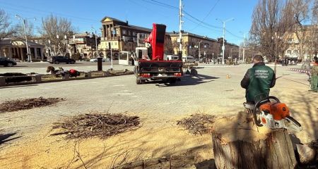 Спилювання дерев на майдані Митців у Запоріжжі: що кажуть екологи