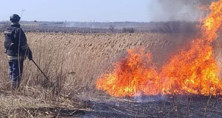 Девять пожаров бушевали в экосистемах Запорожской области