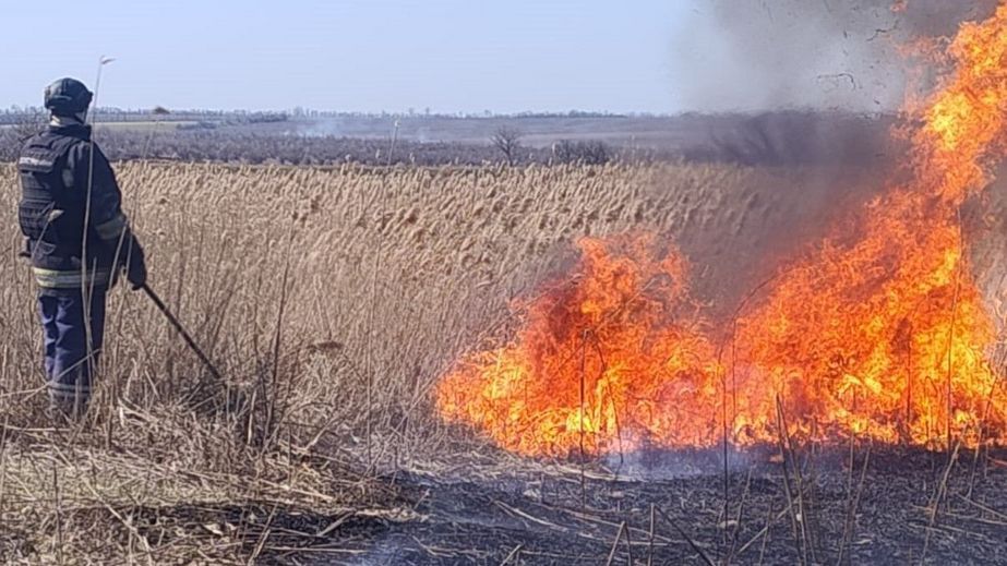 Дев'ять пожеж вирували в екосистемах Запорізької області