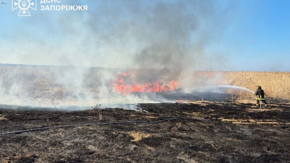Около 1000 случаев загрязнения воздуха зафиксировали на Запорожье из-за войны