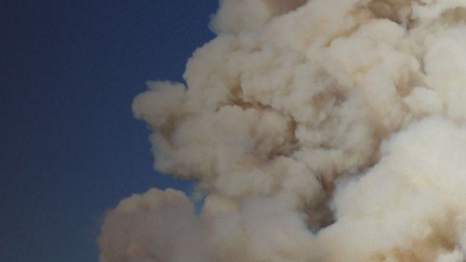 Сили оборони вдарили по російських дронарях і штурмовиках на Запоріжжі