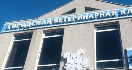 Рекламу ветклініки та низки магазинів демонтували в Запоріжжі