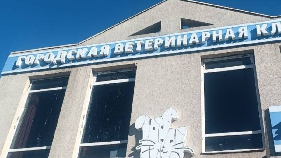 Рекламу ветклиники и ряда магазинов демонтировали в Запорожье