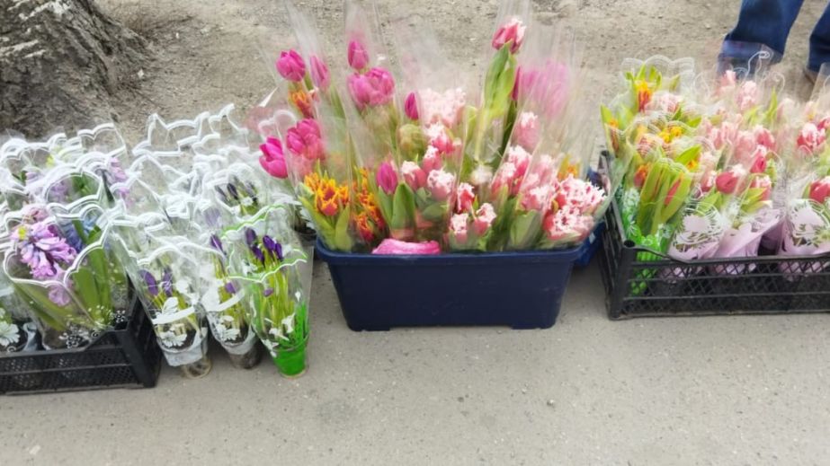 Экологи проверили "цветочные точки" Запорожье: что нашли