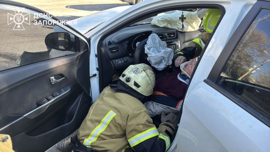 Автомобиль влетел в дерево в Запорожье &ndash; пострадал водитель