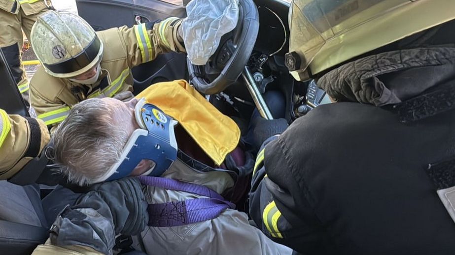 Автомобиль влетел в дерево в Запорожье &ndash; пострадал водитель