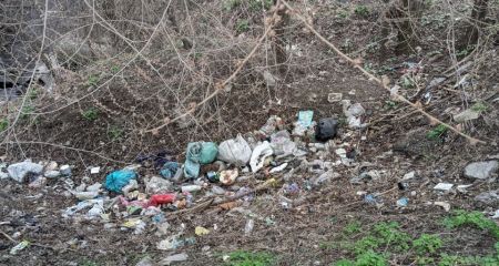 Запоріжці захарастили двір та берег річки в одному зі спальних районів