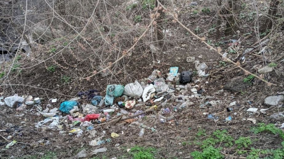 Запоріжці захарастили двір та берег річки в одному зі спальних районів