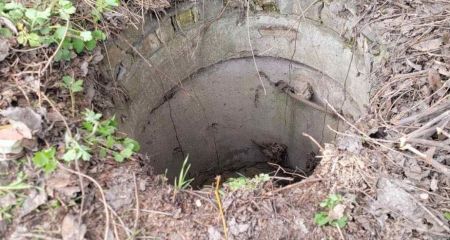 Упали в глубокий колодец: в Запорожье спасли двоих щенков