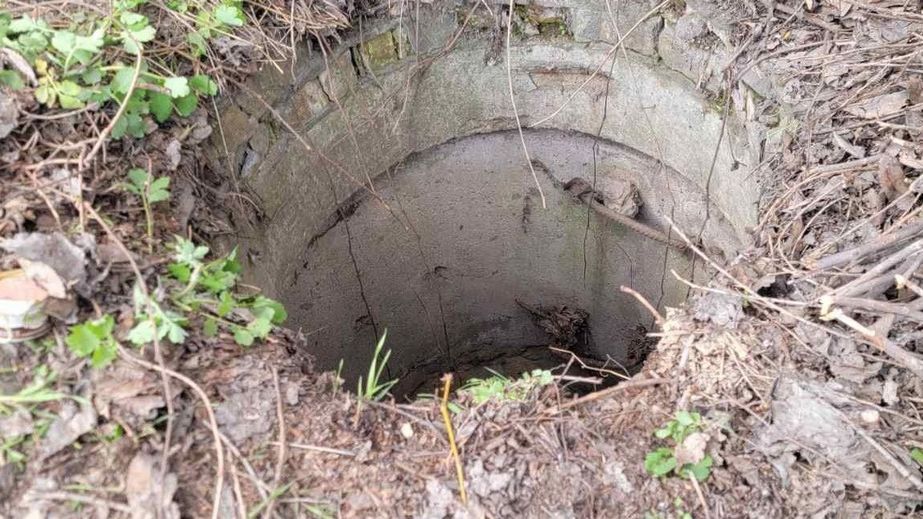 Упали в глубокий колодец: в Запорожье спасли двоих щенков