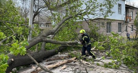 Деревопад і зрив покрівель: наслідки негоди в Запоріжжі ліквідували понад 150 рятувальників