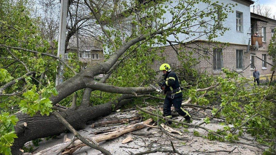 Деревопад и срыв кровли: последствия непогоды в Запорожье ликвидировали более 150 спасателей