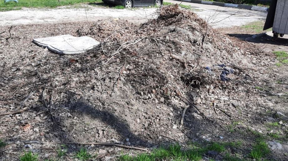 Ганчір&rsquo;я і матрац під вікнами: чергове звалище знайшли у Запоріжжі