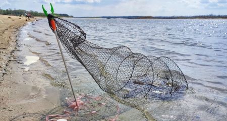 Запрет на вылов рыбы действует в Запорожье &ndash; новые нерестилища и сроки