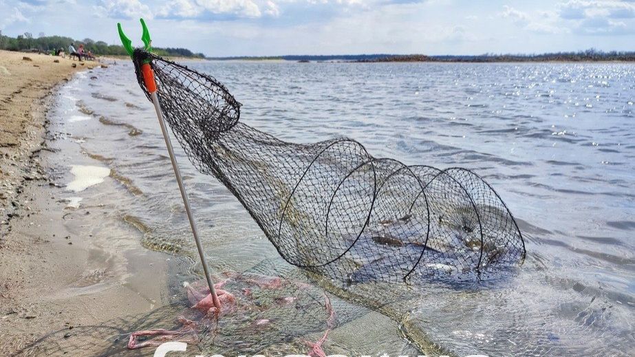 Заборона на вилов риби діє в Запоріжжі &ndash; нові нерестовища та терміни