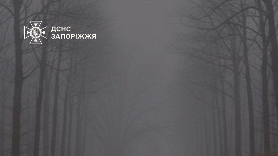 Водіїв попереджають про туман на Запоріжжі