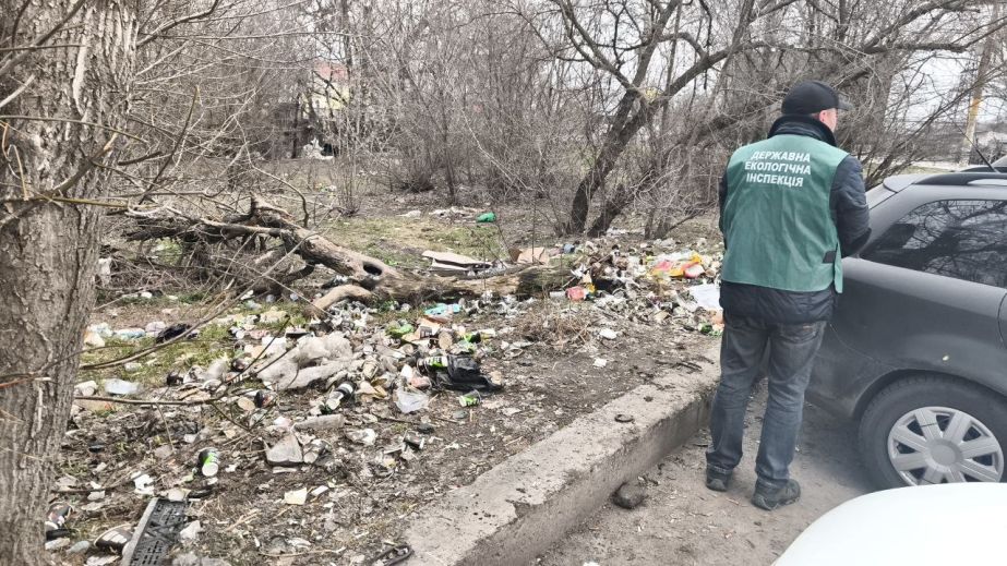 У спальному районі Запоріжжя розчистили стихійний смітник