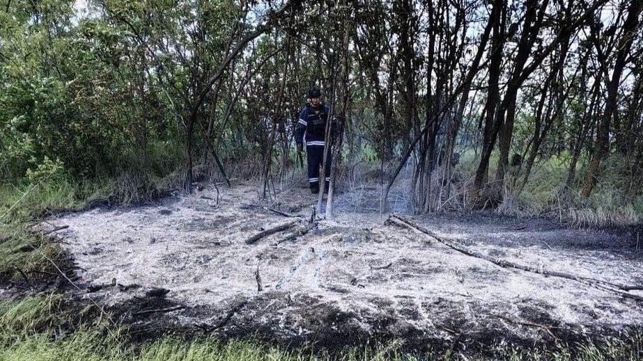 Сухостой пылал в Запорожском районе после вражеских атак
