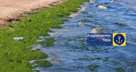Экоцид РФ: на побережье Азовского моря фиксируют аномальные экологические изменения
