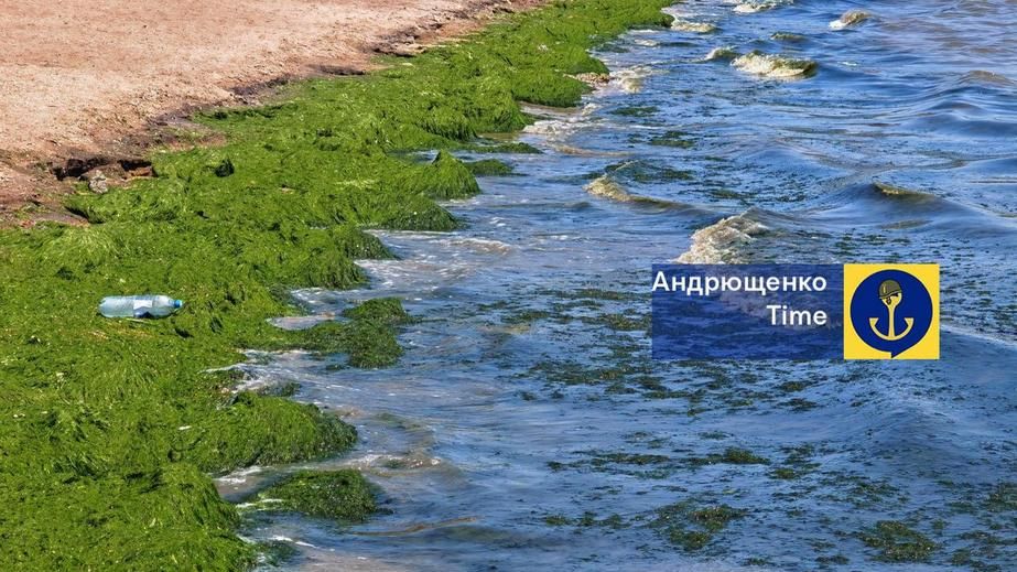 Экоцид РФ: на побережье Азовского моря фиксируют аномальные экологические изменения