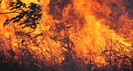 Найвищий рівень пожежної небезпеки оголосили в Запорізькому районі