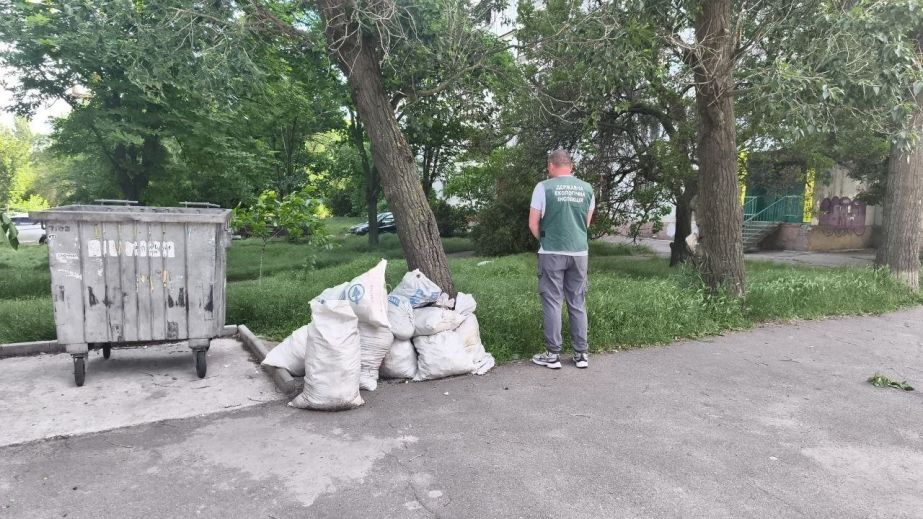 Две свалки в одном дворе: что увидели экологи в центре Запорожья