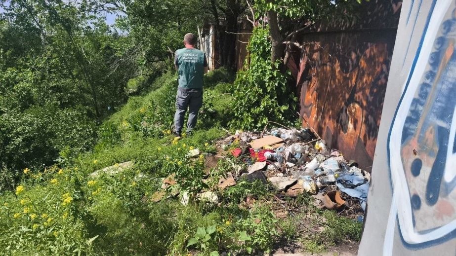 За гаражами в Запорожье устроили стихийную свалку