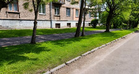 Свалку возле жилой застройки убрали в Запорожье