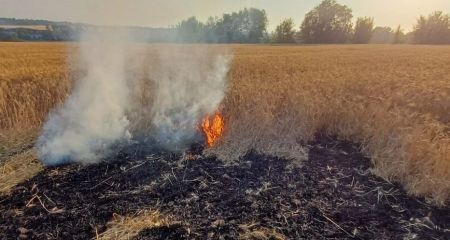 Более 30 гектаров хлебных полей выгорели на Запорожье после обстрелов