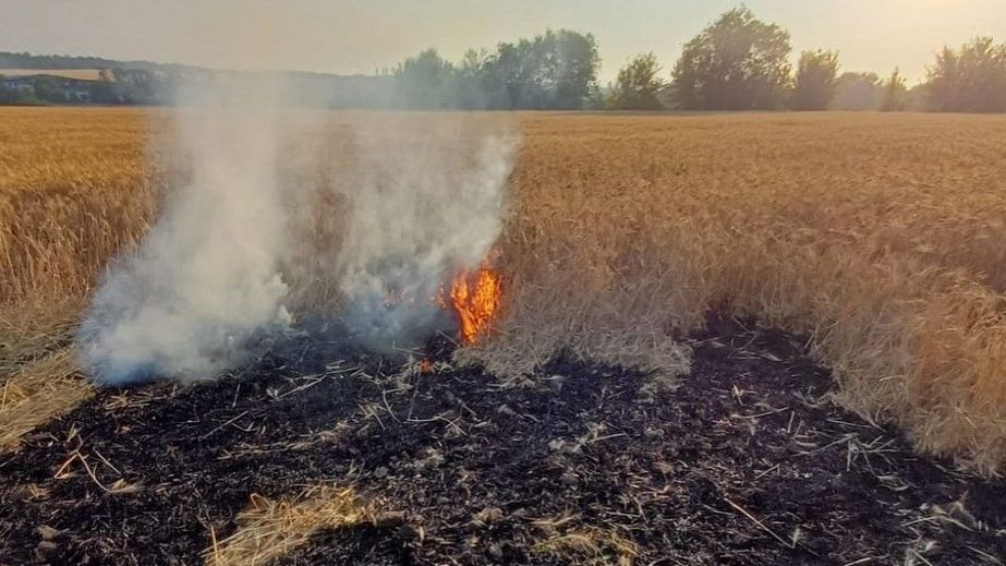 Более 30 гектаров хлебных полей выгорели на Запорожье после обстрелов