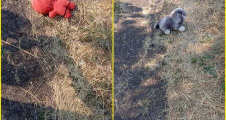 На Запоріжжі попередили про нову небезпеку від ворожих дронів