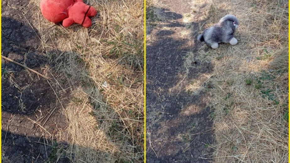На Запоріжжі попередили про нову небезпеку від ворожих дронів