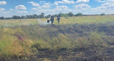 Оселя та сухостій палали через ворожі атаки на Запоріжжі