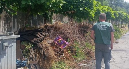 Старые игрушки среди мусора: экологи обнаружили свалку в Запорожье