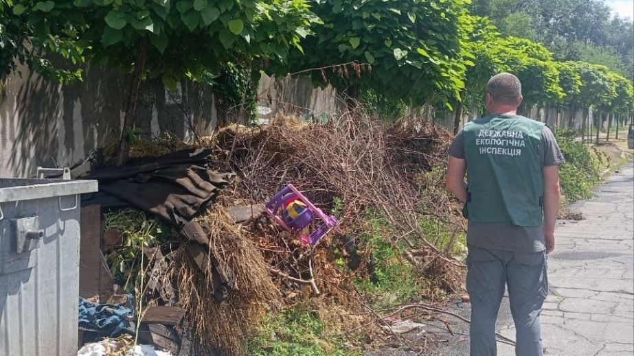 Старые игрушки среди мусора: экологи обнаружили свалку в Запорожье