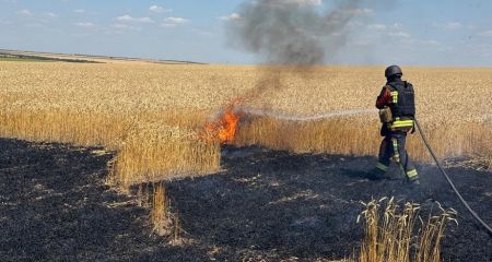 Хлебные поля и сухостой пылали после обстрелов под Запорожьем