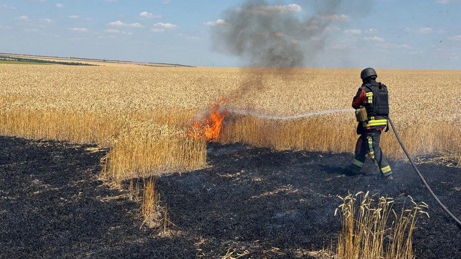 Хлібні поля та сухостій палали після обстрілів під Запоріжжям
