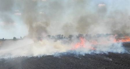 80 гектарів хлібних полів горіли на Запоріжжі через російські обстріли