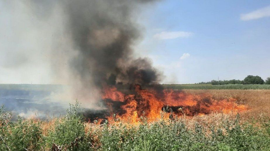 Російські обстріли спричинили масштабні пожежі під Запоріжжям