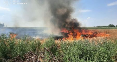 У Запоріжжі та передмісті за добу виникло 7 пожеж