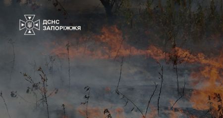 Понад 40 гектарів екосистем вигоріли у Запоріжжі та передмісті