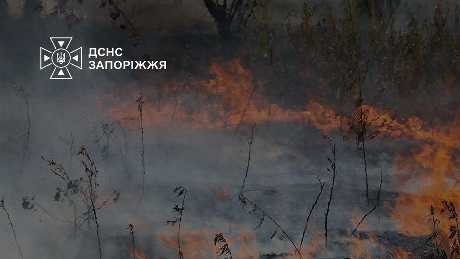 Понад 40 гектарів екосистем вигоріли у Запоріжжі та передмісті