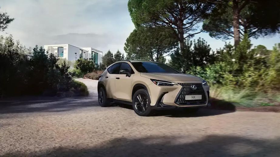 Lexus NX у повсякденному житті: сильні сторони компактного преміального кросовера