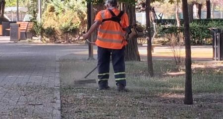 Змінити підхід до догляду за газонами пропонують у Запоріжжі